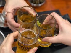 -大阪烧肉BAKA一代(十亩地店)