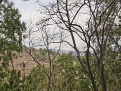 -香山公园