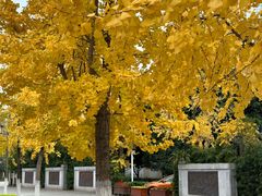 -成都中医药大学(温江校区)