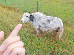 景点-青海湖国家重点风景名胜区
