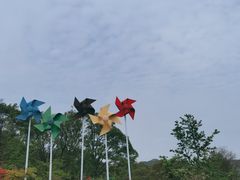 -南京老山国家森林公园