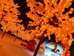 -哈尔滨音乐公园