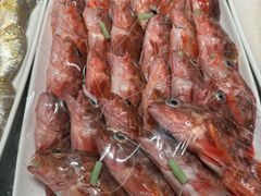 -高佳庄·海鲜酒楼(定海店)