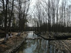 -桤木河湿地公园