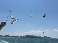 -海驴岛(荣成市)