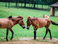 -杭州野生动物世界