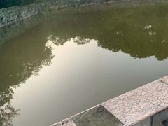 -西南政法大学(沙坪坝校区)