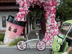 -DAHON大行折叠自行车(松江旗舰店)