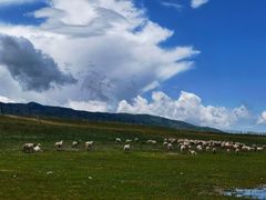 -青海湖国家重点风景名胜区