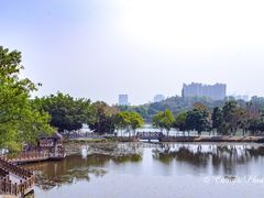 -番禺大夫山森林公园
