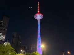 -辽宁电视塔