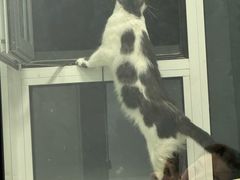 -东日国际动物医院·CT·心脏专科(桃源分院)