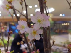 -1/4 ONE QUARTER COFFEE LAB(朝阳大悦城店)