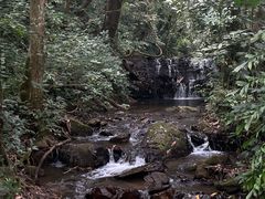-莫里热带雨林景区