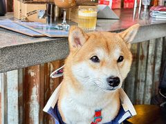 -The Drinkery (瑞金店)