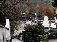 -塔川景区