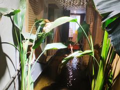 -邈墨茶馆(凤起路店)