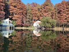 -上海共青森林公园