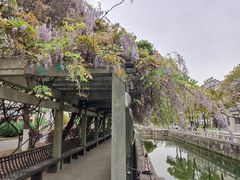 -江南大学(蠡湖校区)