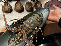 -月下料理(楷林IFC店)