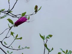 -白鹿洞书院