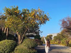 -舟山朱家尖绿城威斯汀度假酒店