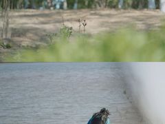 -丁香湖公园