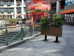-浦江城市生活广场(江月路店)