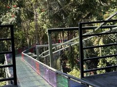 -海南槟榔谷黎苗文化旅游区
