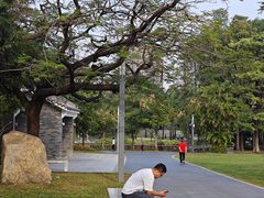 -四海公园(南山区)