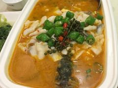 鲜椒豆花鲈鱼-川味堂·四川豆花(八卦岭店)