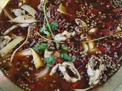 -味之绝热血美蛙鱼火锅(中坝店)