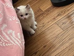 -佳雯宠物医院(金华南路分院)