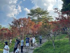 -广州市帽峰山景区
