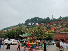 -枇杷园食为鲜火锅(南山店)