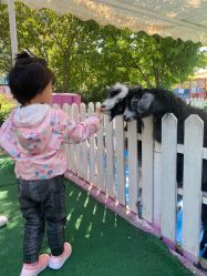 -萌宠亲子动物乐园(槐房万达店)