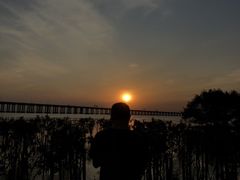 -宝安西湾红树林湿地公园