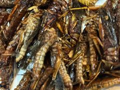 -壹加壹电烤串(总店)