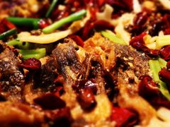 -老板恋上鱼(恒隆广场店)