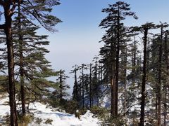 -瓦屋山景区