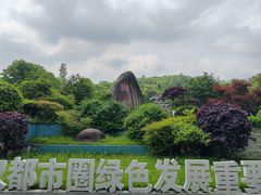 -潜山国家森林公园