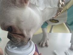 -怪兽屋·羊驼·猫咖·狗咖(俊华广场店)