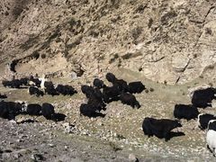 -扁都口生态休闲旅游区