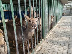 -中华郡文化旅游景区