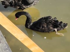 -河北村民俗体验园