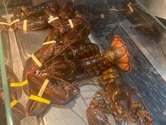 -博林天瑞喜来登酒店·西丽尚膳