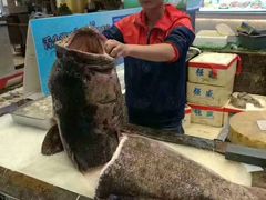 -欢乐海岸美食联盟