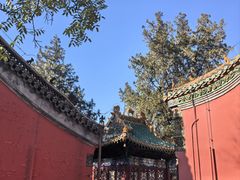 -药王庙(安国市)