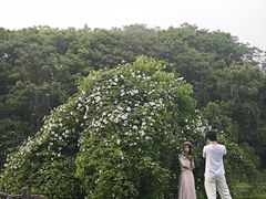 -艾溪湖湿地公园