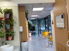 -派联宠物医院·24h·CT·异宠